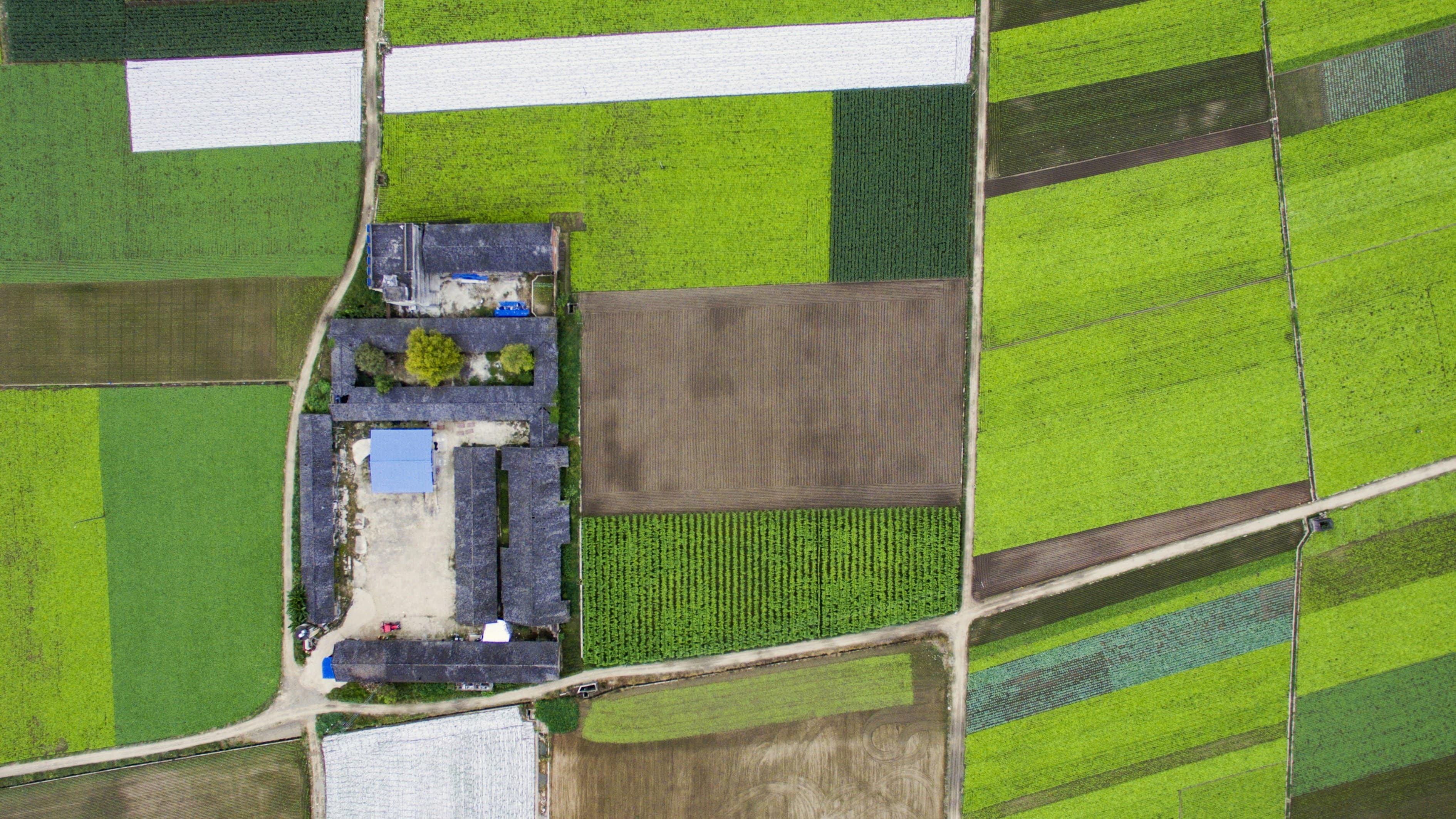 Residential Plot